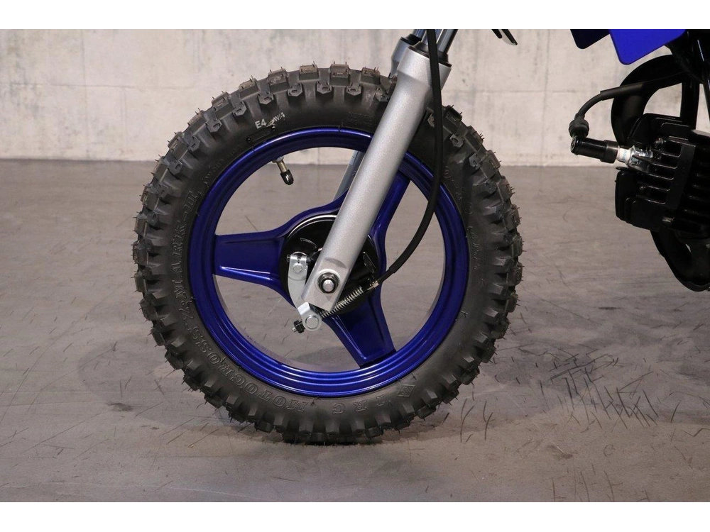 Yamaha Pw50 Enr. 2025 alt