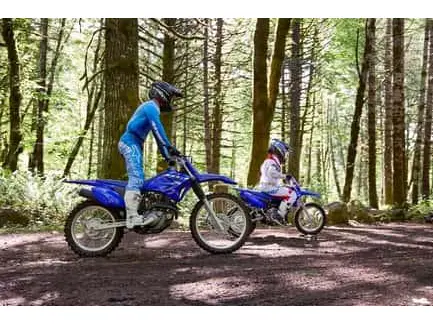 2026 Yamaha TT-R 230