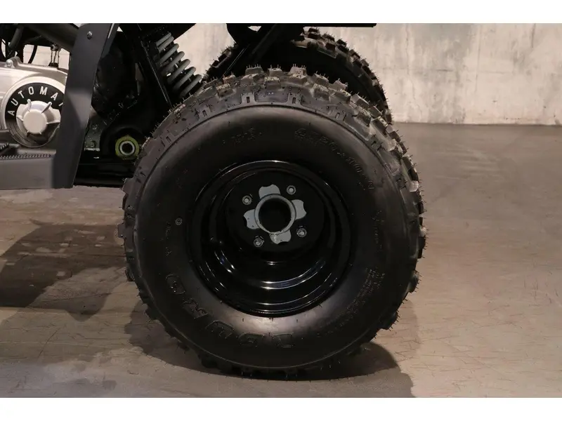 2026 Polaris Polaris Phoenix 200