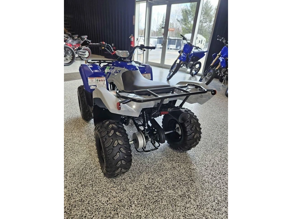 Yamaha Grizzly 110 2026 alt