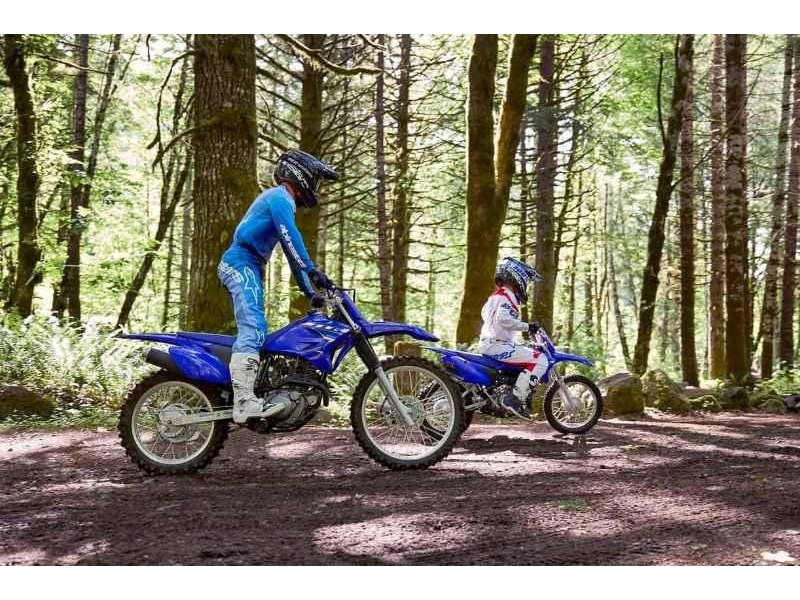 2026 Yamaha Tt-r230 alt