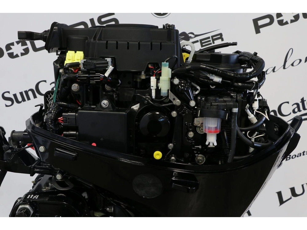 Mercury Mercury 25mlh (long 20 Pouces) 2026 alt