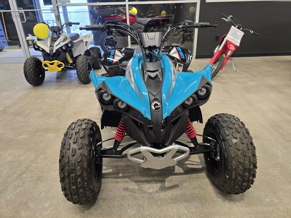 2026 Brp Renegade 110 Efi (can) alt