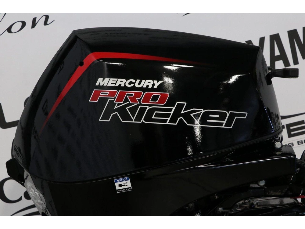 Mercury 9.9exlhpt Ct Pk Efi Pied X-long (25 Pouces) 2027 alt