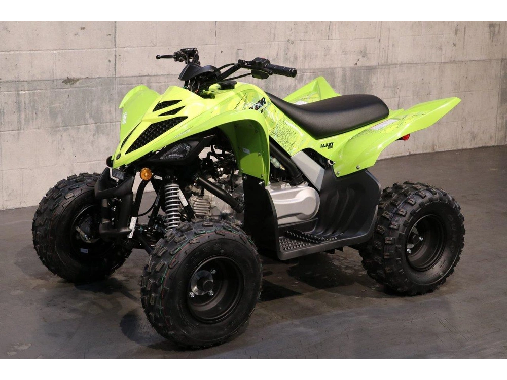 2026 Yamaha Raptor 110 alt