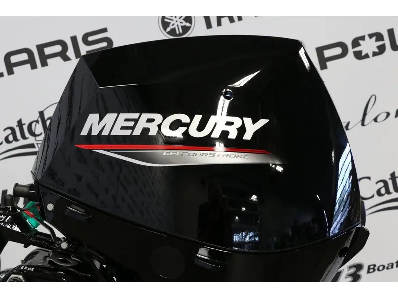 2025 Mercury 25ELH DÉMARREUR ÉLECTRIQUE, PIED LONG (20 POUCES) ENR. thumbnail 2