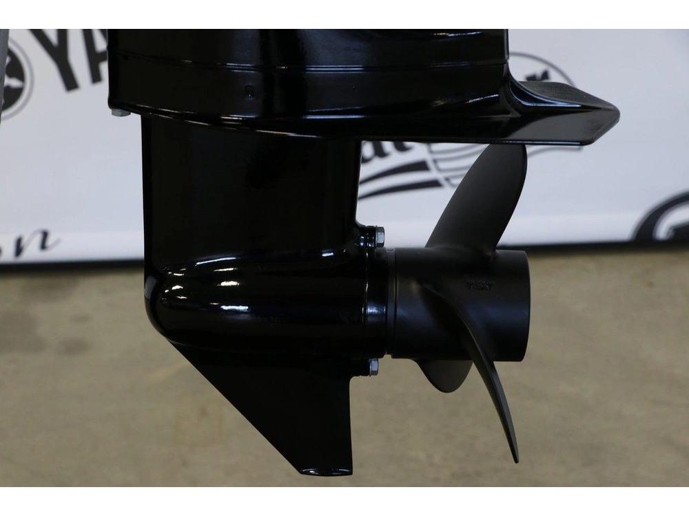 2025 Mercury Mercury 4mlh Long (20 Pouces) Enr. alt