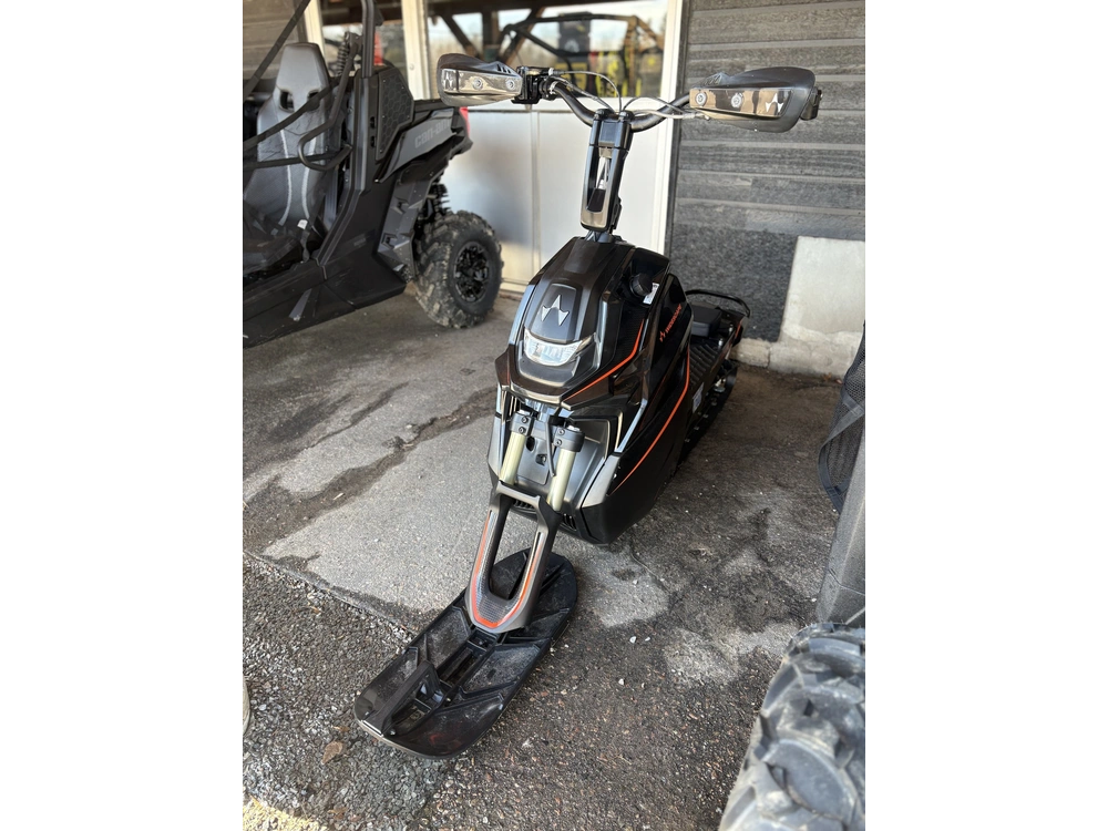 2024 Widescape Ws250 alt