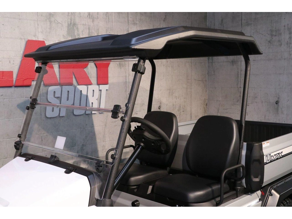 2025 Yamaha Voiturette De Golf Umax Rally Efi alt
