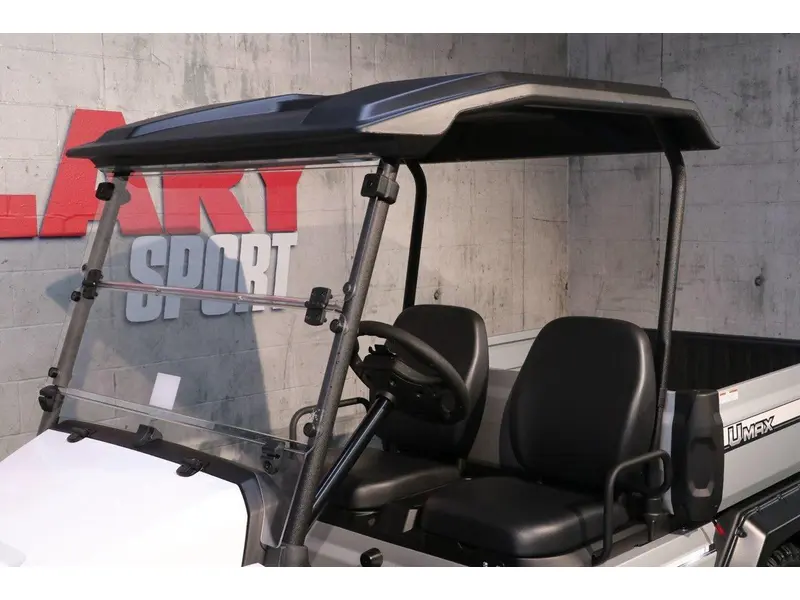 Yamaha VOITURETTE DE GOLF UMAX RALLY EFI 2025