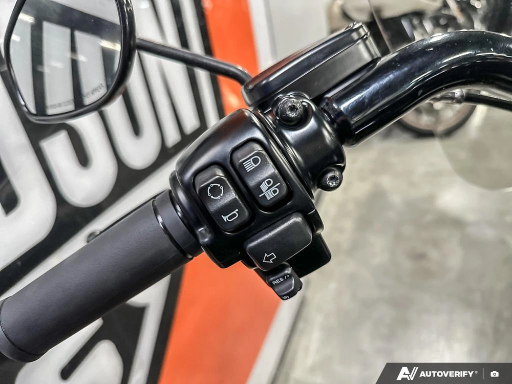 2017 Harley-davidson Fat Boy Lo S alt