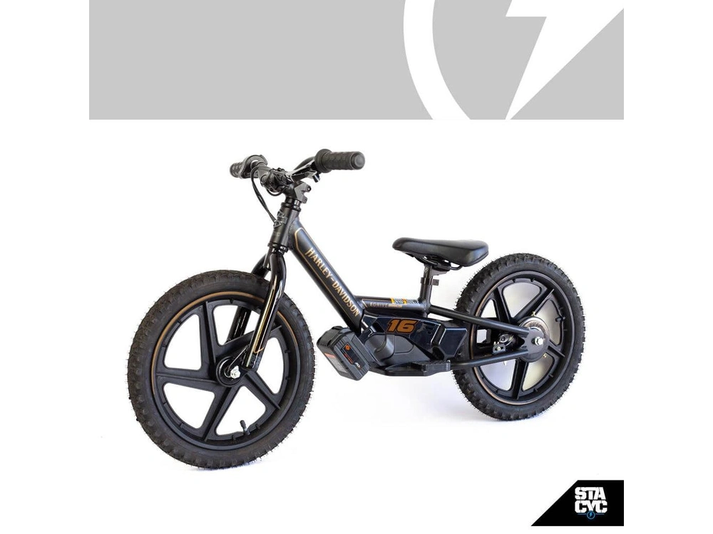 2025 Stacyc 16 Edrive Elite 36v Kids E-bike alt