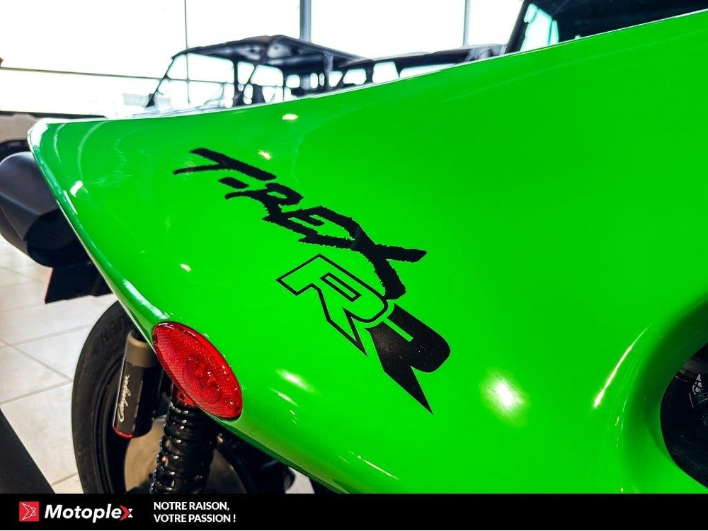 Campagna T-rex Rr 2026 alt