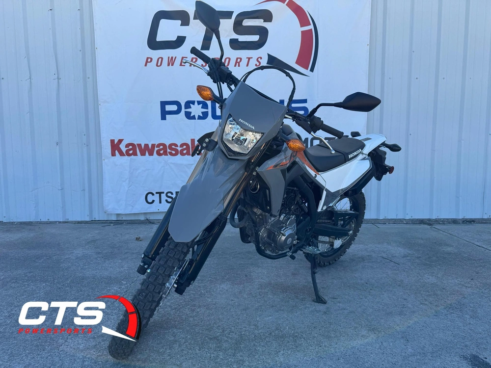 2024 Honda Crf® 300ls 300ls alt