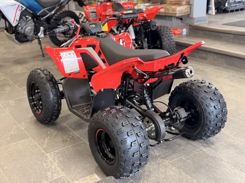 CFMOTO Cforce 110 Classic 2026