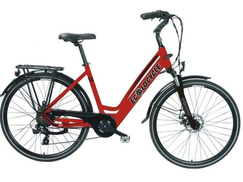 Taubik Ecolo Cycle Roma 2021 alt