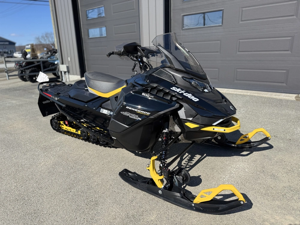 Ski-doo Renegade Enduro 900 Ace 2024 alt