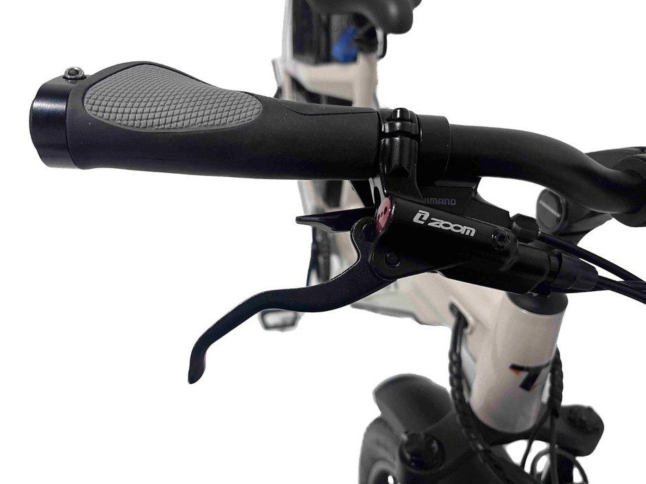 Taubik Taubik Tour 2023 alt