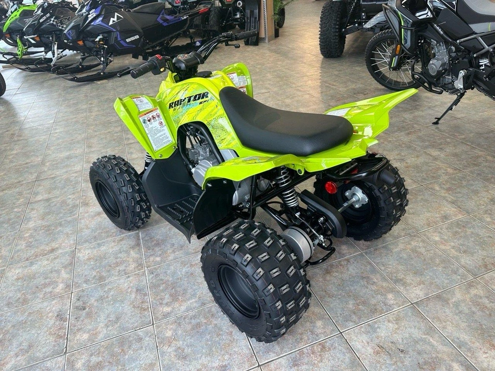 2026 Yamaha Raptor 110 alt