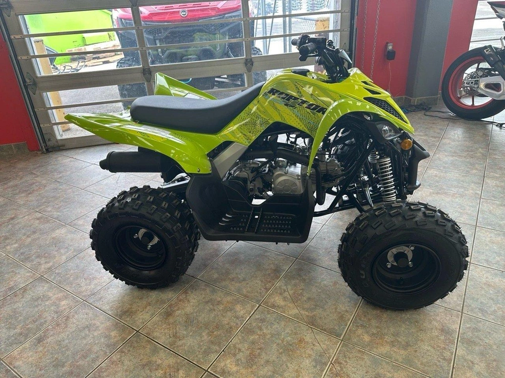 2026 Yamaha Raptor 110 alt