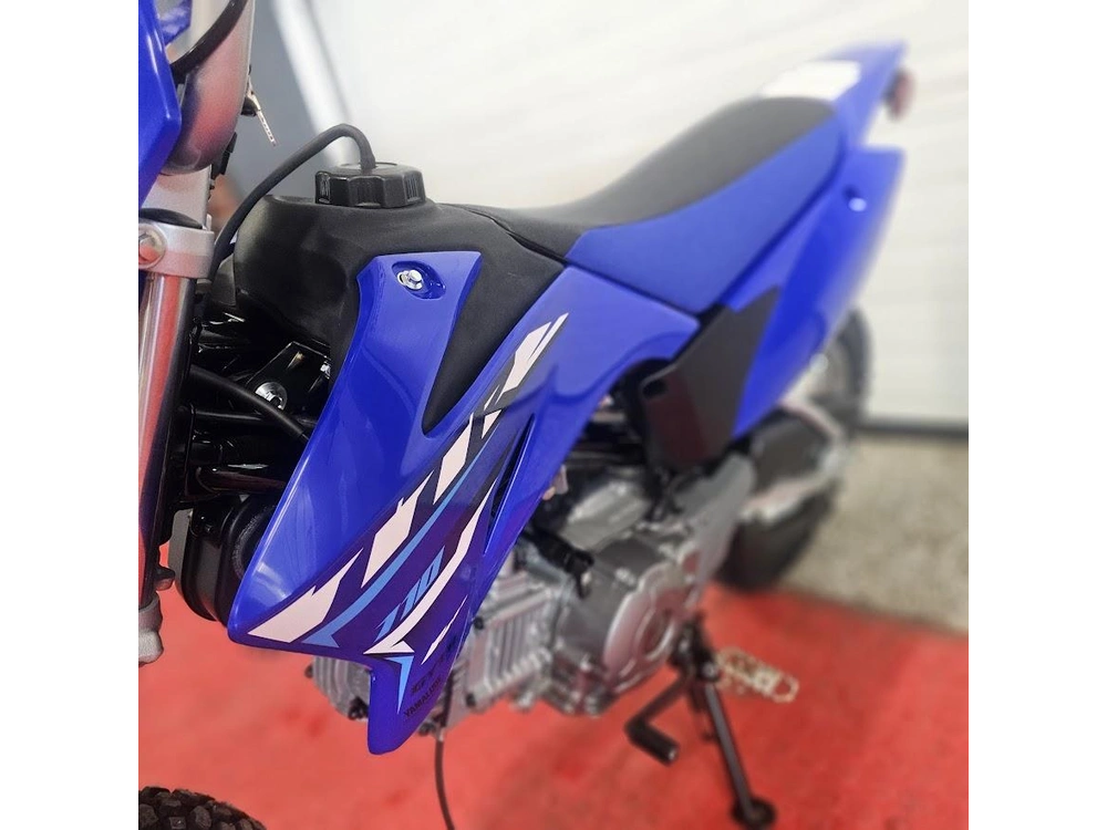 2026 Yamaha Ttr110 alt