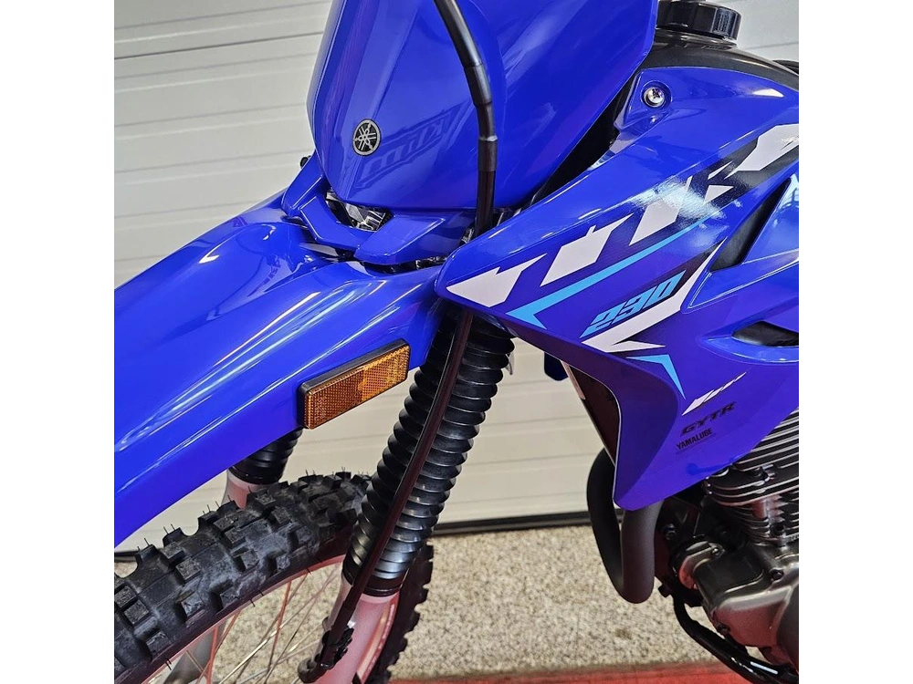 2026 Yamaha Ttr 230 alt