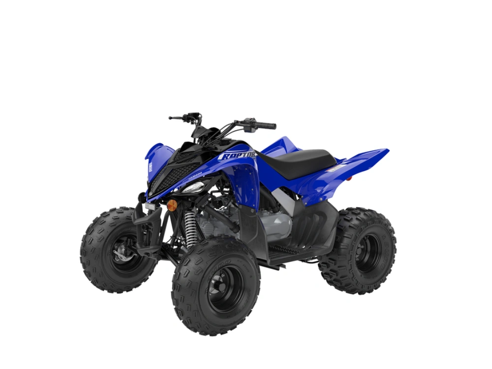 2026 Yamaha Raptor 110 alt