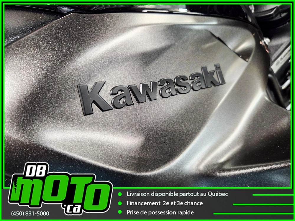 2026 Kawasaki Z1100 Se alt