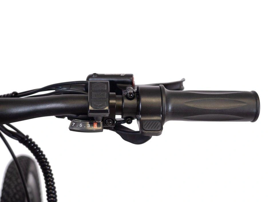 Taubik Taubik Peak 2023 alt