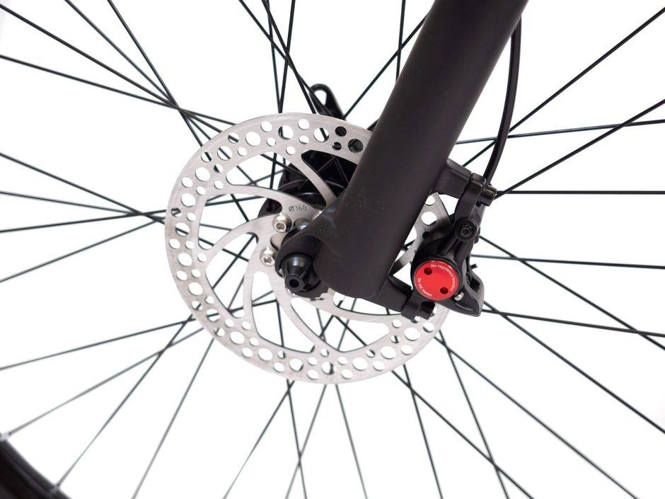 Taubik Taubik Peak 2023 alt