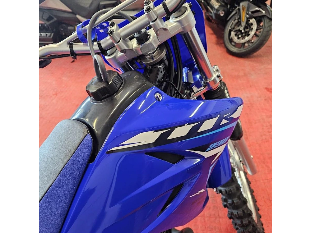 2026 Yamaha Ttr 230 alt
