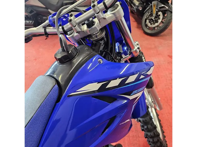 2026 Yamaha TTR 230 thumbnail 15