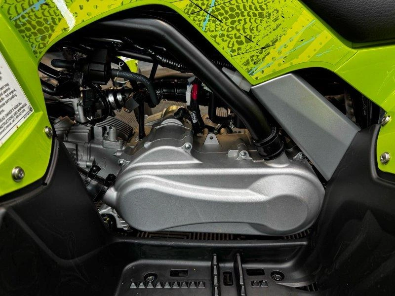 Yamaha Raptor 110 2026 alt