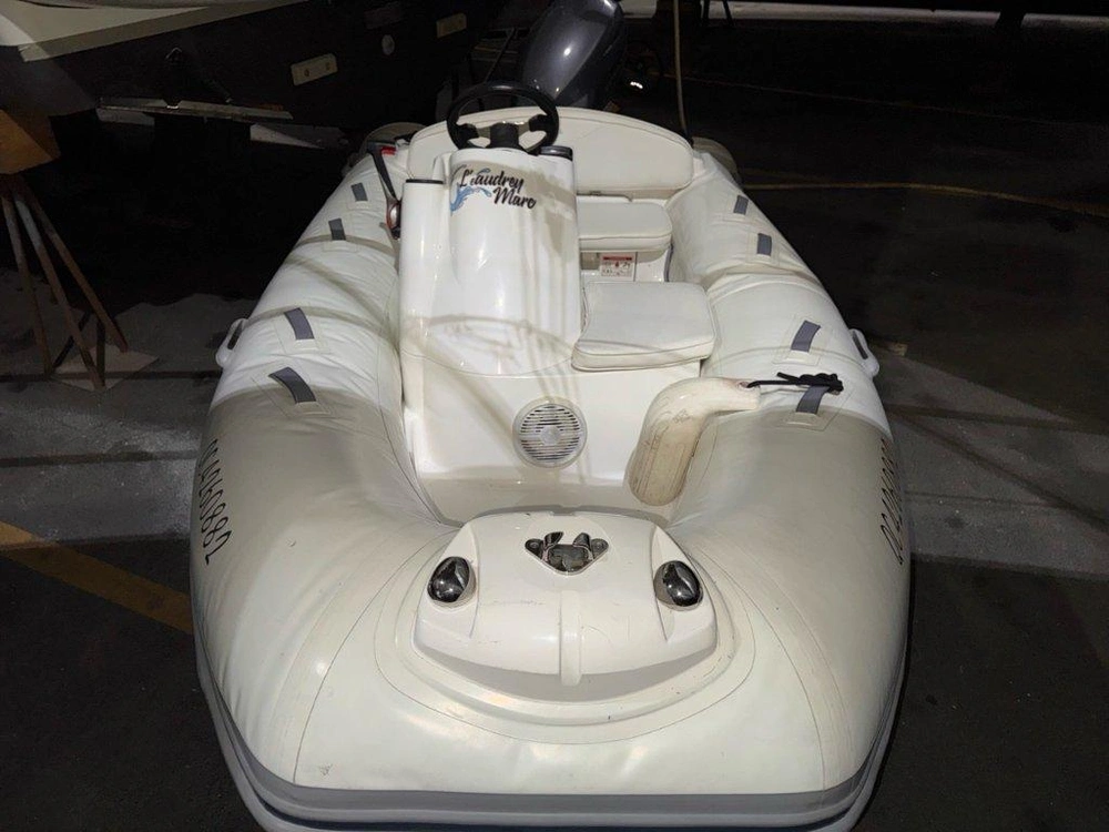 Carver 366 2004 alt