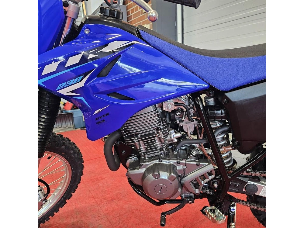 2026 Yamaha Ttr 230 alt