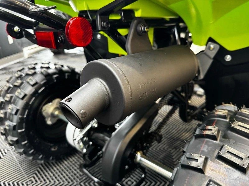 Yamaha Raptor 110 2026 alt