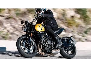 Triumph Trident 660 2026 alt