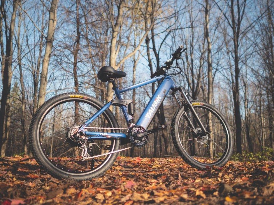 Taubik Taubik Peak 2023 alt