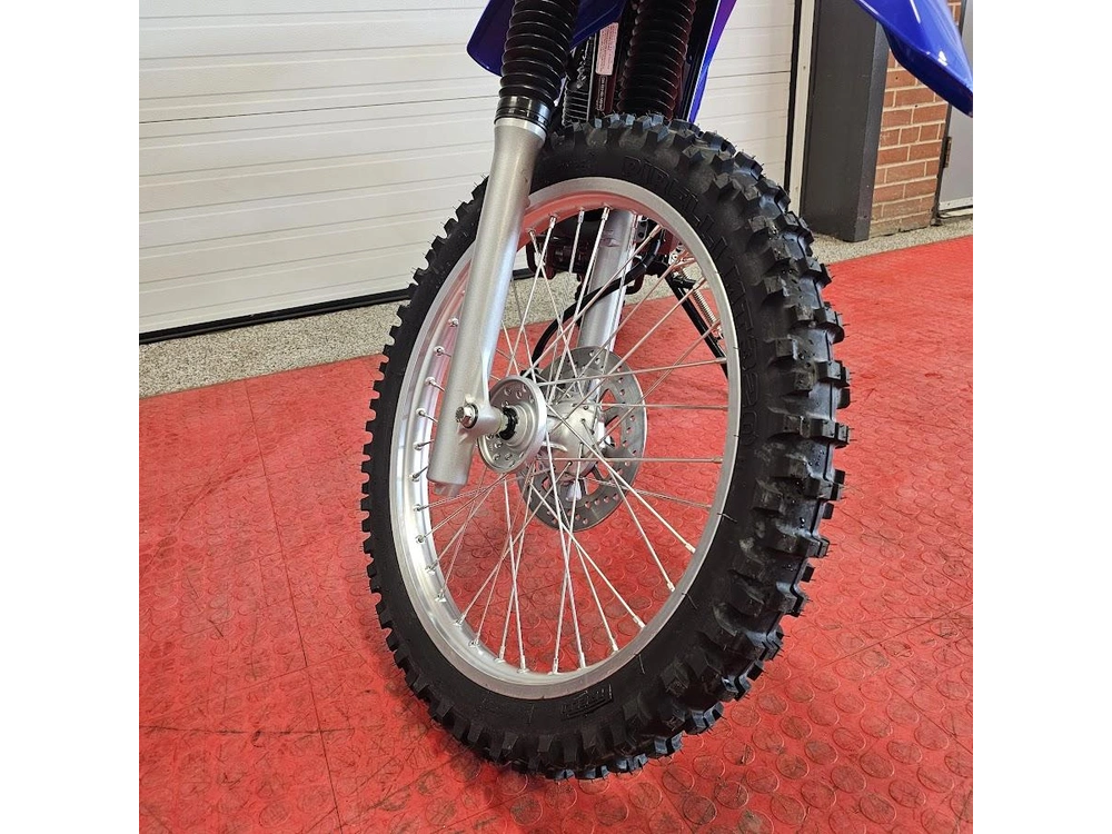 2026 Yamaha Ttr 230 alt