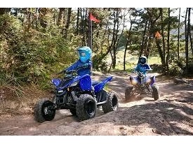 Yamaha Raptor 110 2026 alt