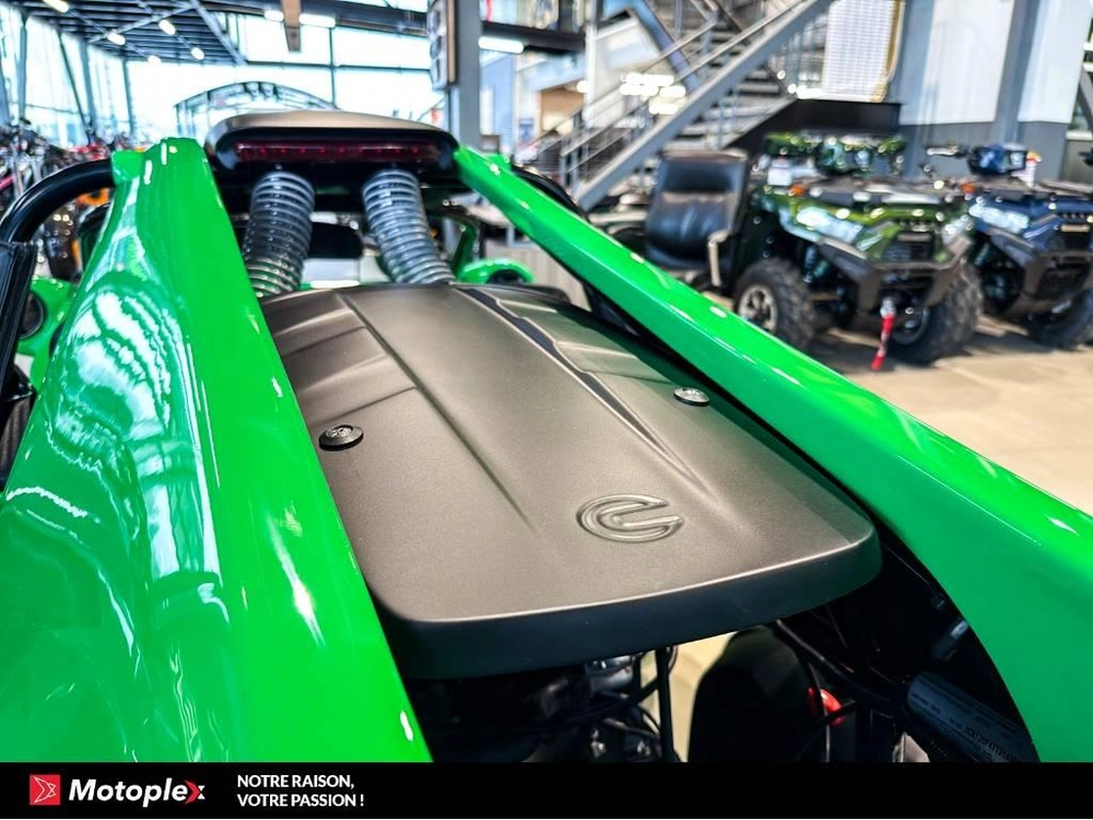 Campagna T-rex Rr 2025 alt