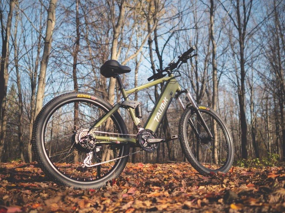 Taubik Taubik Peak 2023 alt