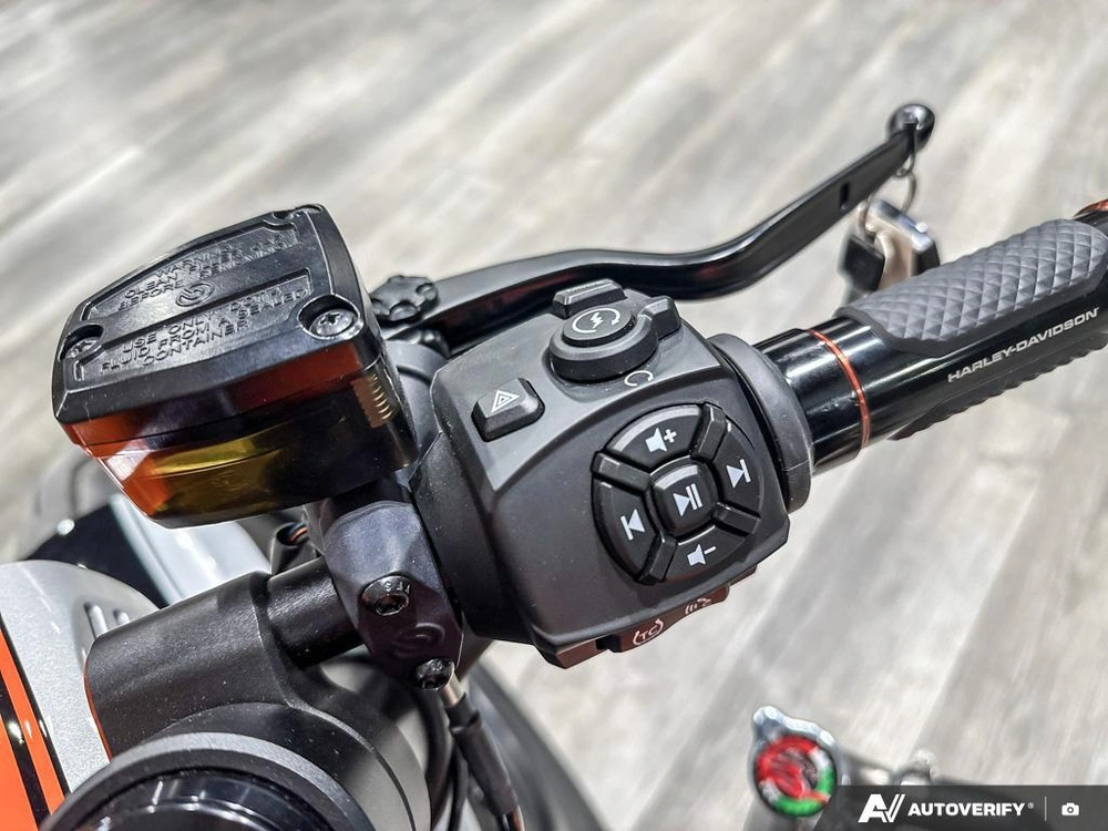 2025 Harley-davidson Sportster S alt