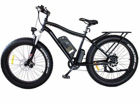 2021 Taubik Daymak Wild Goose 60v 12.5ah alt