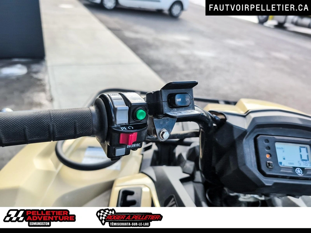 Yamaha Kodiak 450 Le 2024 alt