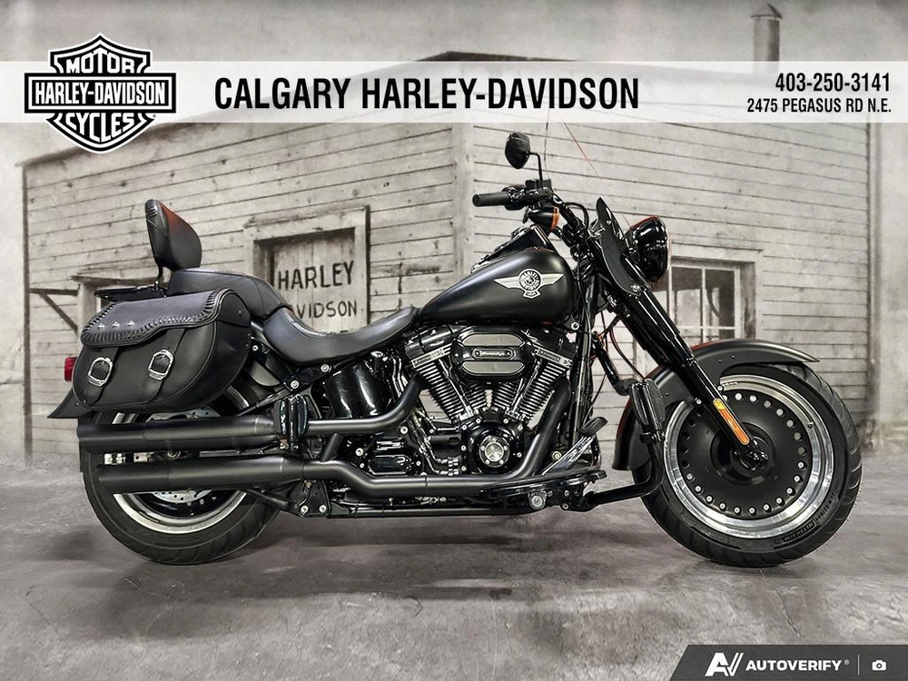 2017 Harley-davidson Fat Boy Lo S alt