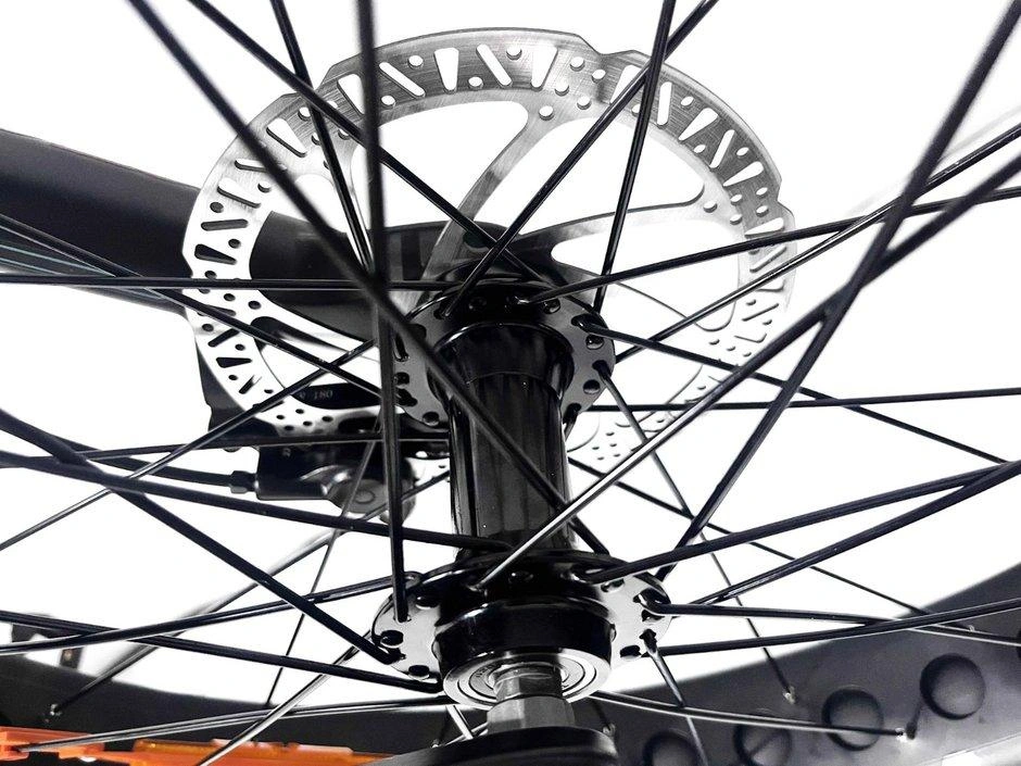 Taubik Taubik Tour 2023 alt