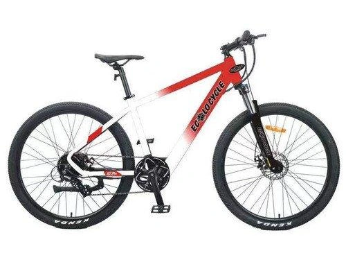 Taubik Ecolo Cycle Flash 2021 alt