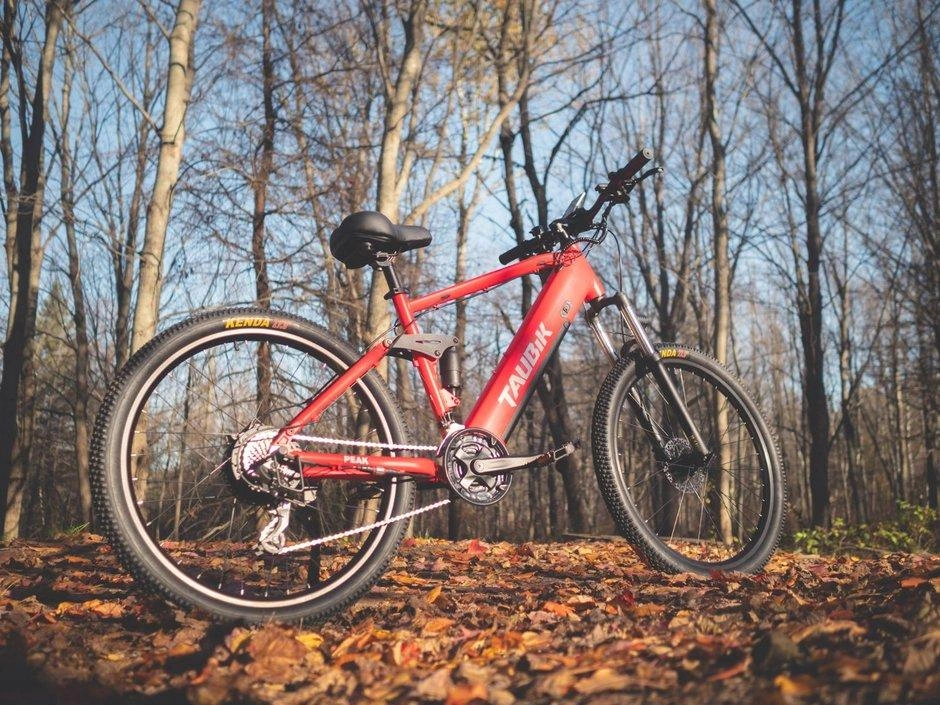 Taubik Taubik Peak 2023 alt