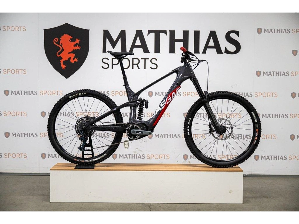 Gasgas Ecc4 Gx L/xl Demo 2024 alt